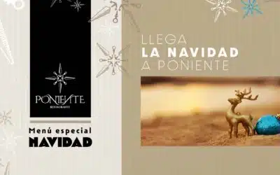 Menús Especial NAVIDAD 2022